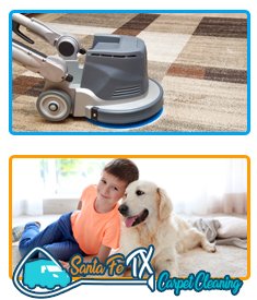 Professional Carpet Cleaning
